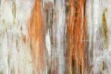 Tall, Free-Standing, Polished Petrified Wood - Madagascar #148723-5